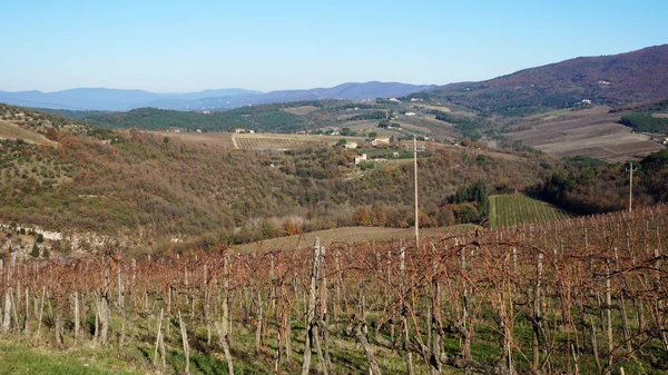 Panoramatickou krajinu vinic — Stock fotografie