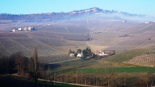 Quinta de vinhos com vinhas — Fotografia de Stock