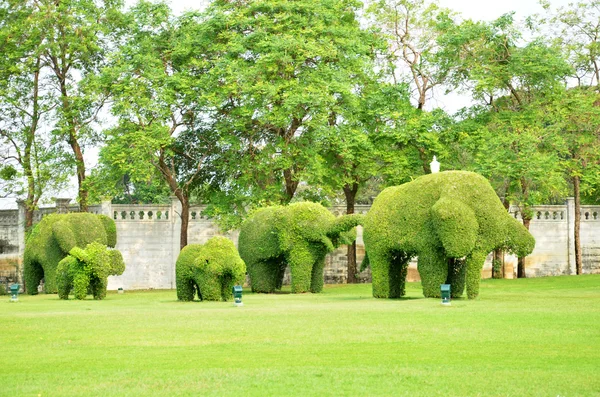Drzewa zielone słonia w Bang Pa-In Pałac — Zdjęcie stockowe
