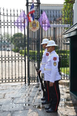 Kings Guard in Grand Royal Palace clipart