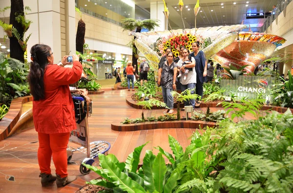 Kouzelný zahrada na mezinárodní letiště Changi, Singapur — Stock fotografie