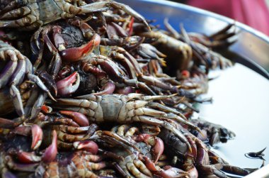 Satıcı Chinatown bir ahır olarak deniz ürünleri hazırlar