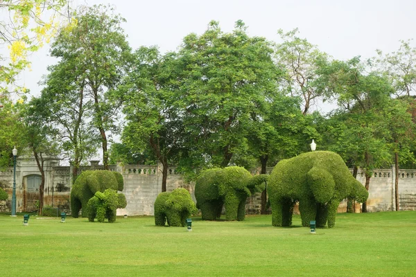 The green elephant trees in Bang Pa-In Palace — Stock Photo, Image