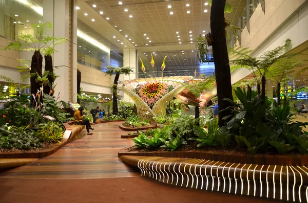 Jardín encantado en el aeropuerto internacional de Changi, Singapur —  Fotos de Stock