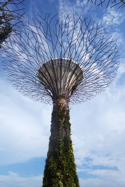 Gardens by the Bay, Singapur — Stockfoto