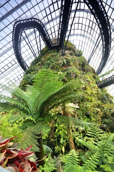 Cloud Forest at Gardens by the Bay — Stock Photo, Image