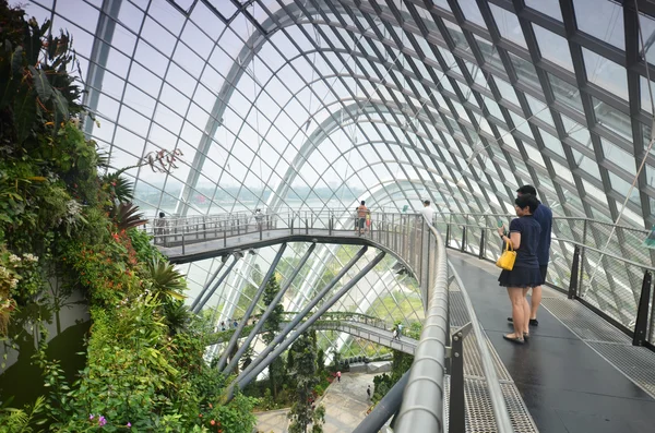 Forêt nuageuse à Gardens by the Bay à Singapour — Photo