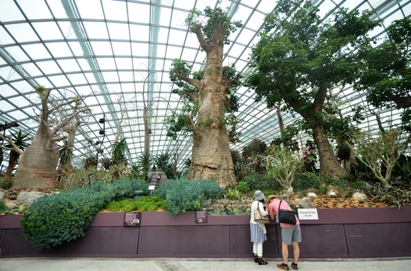 Dôme de fleurs au Gardens by the Bay à Singapour — Photo