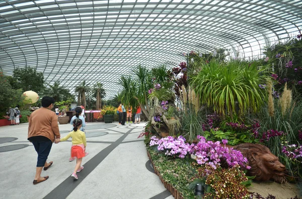 Květina Dome na zahrady Bay v Singapuru — Stock fotografie