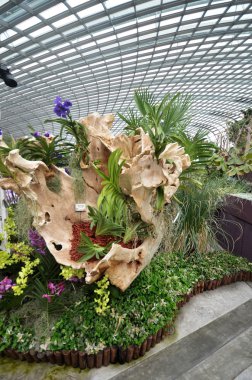 Çiçek kubbe Gardens Singapur Bay tarafından