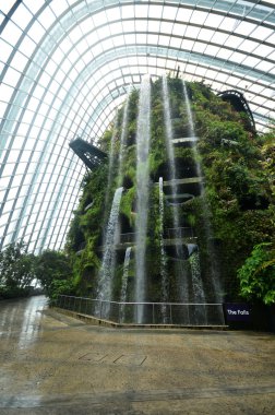 Cloud Forest at Gardens by the Bay in Singapore clipart