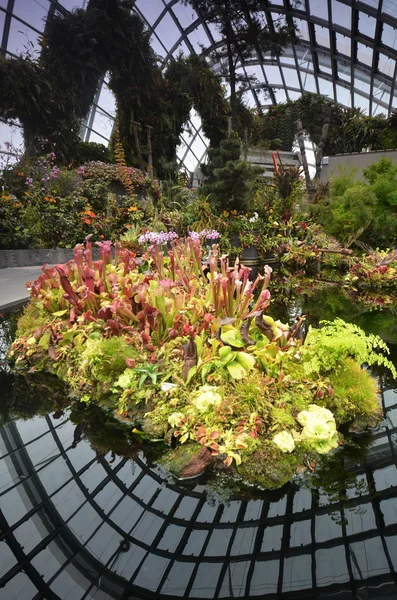 Cloud Forest at Gardens by the Bay in Singapore — Stock Photo, Image