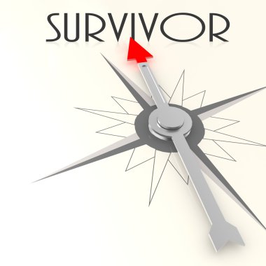 Survivor word ile pusula