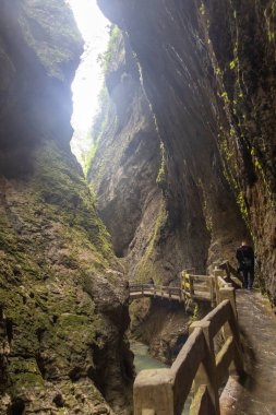 Wulong, Çin - 5 Kasım 2025: Wulong, Çin 'de bulunan Longshuixia Stitched Scenic Spot. Nefes kesici manzaralar. Özellikleri arasında derin, sarp geçitler, el değmemiş bitki örtüsü ve çağlayan su bulunur.