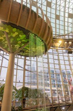 Chongqing, China- 9 Kasım 2025: Yüzük Alışveriş Parkı içinde Botanik Bahçesi, Chongqing Ring Mall olarak da bilinir. Ring çığır açan bir ekolojik perakende satış noktası.