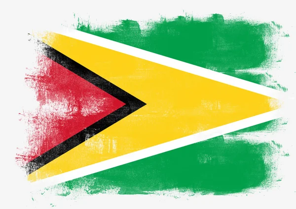 Flagge von Guyana mit Pinsel bemalt — Stockfoto