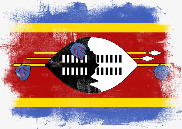 Bandeira da Suazilândia pintada com pincel — Fotografia de Stock