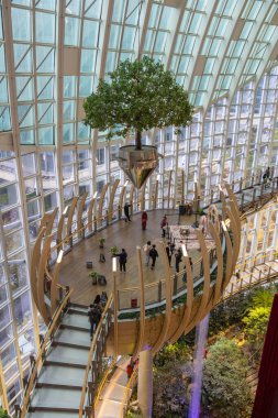 Chongqing, China- 9 Kasım 2025: Yüzük Alışveriş Parkı içinde Botanik Bahçesi, Chongqing Ring Mall olarak da bilinir. Ring çığır açan bir ekolojik perakende satış noktası.