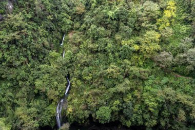 Longshuixia İlmeklenmiş Manzaralı Leke, Wulong, Çin 'de. Nefes kesici manzaralar. Özellikleri arasında derin, sarp geçitler, el değmemiş bitki örtüsü ve çağlayan su bulunur.
