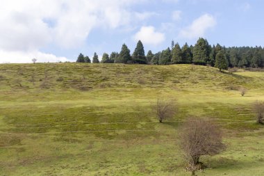 Peri Dağı Çayırı Çin 'in Chongqing şehrinde yer almaktadır. Nadir dağlık çayırlarıyla tanınır, ormanlarıyla da ünlüdür.