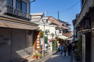 Kamakura, Japonya-17 Aralık 2025: Enoshima Benzaiten Alışveriş Caddesi, Enoshima Adası, Japonya. Ryokanlar, lokantalar ve hediyelik eşya dükkanlarıyla dolu hareketli bir alışveriş bölgesi.