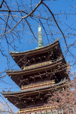 Tokyo, Japonya - 17 Aralık 2025 Ueno Beş katlı Pagoda veya Tokyo Ueno Park 'ın içindeki Kyu-Kaneiji. Tarihi bir bina ve karmaşık Japon mimarisi nedeniyle hayran olunan bir turistik yerdir.