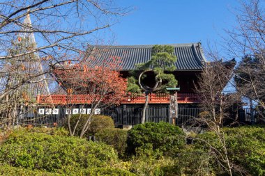 Tokyo, Japonya - 17 Aralık 2025: Kiyomizu Kannon-do Tapınağı Ueno Park, Tokyo 'da. 1631 yılında güzel mimarisi ve ikonik Ay Çamı ile bilinen tarihi bir Budist tapınağıdır.