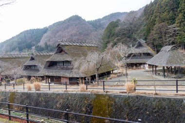 Kawaguchiko, Japonya - 20 Aralık 2025: Saiko Iyashi-no-Sato Nenba Kawaguchiko, Japonya 'da yer almaktadır. Geleneksel bir Japon köyü ve 20 sazdan çatılı evi olan açık hava müzesi..