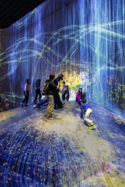 Tokyo, Japonya 22 Aralık 2025 Tokyo, Japonya 'daki Sınır Tanımaz Dijital Sanat Müzesi. Sınır Tanımayan Takım Laboratuvarı sınırları olmayan bir sanat eserleri dünyası. Sanat topluluğu tarafından oluşturulmuş haritası olmayan bir müze.