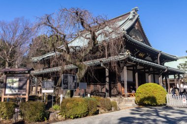 Tokyo, Japonya - 26 Aralık 2025: Tokyo, Japonya 'daki Gotokuji Tapınağı Buda Salonu. Gotokuji tapınağı uzun zamandır büyük kedi heykelleri koleksiyonu için ziyaretçileri çekiyor.