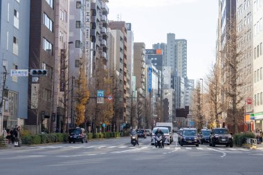 Tokyo, Japonya - 29 Aralık 2025: Tokyo, Japonya 'daki Asakusa ilçesinin sokak manzarası. Asakusa, geleneksel el sanatları dükkanları ve sokak yemekleri tezgahlarıyla eski bir Tokyo havasını koruyor.