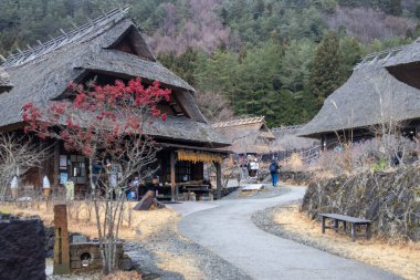 Kawaguchiko, Japonya - 20 Aralık 2025: Saiko Iyashi-no-Sato Nenba Kawaguchiko, Japonya 'da yer almaktadır. Geleneksel bir Japon köyü ve 20 sazdan çatılı evi olan açık hava müzesi..