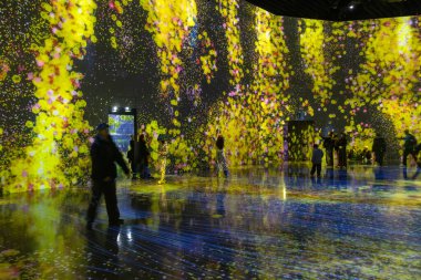 Tokyo, Japonya 22 Aralık 2025 Tokyo, Japonya 'daki Sınır Tanımaz Dijital Sanat Müzesi. Sınır Tanımayan Takım Laboratuvarı sınırları olmayan bir sanat eserleri dünyası. Sanat topluluğu tarafından oluşturulmuş haritası olmayan bir müze.