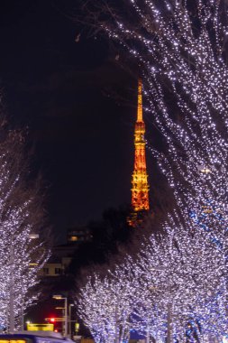 Tokyo, Japonya - 26 Aralık 2025: Roppongi Hills Noel ışıkları, Tokyo 'daki en iyi kış aydınlatmaları. Roppongi Hills alışveriş merkezinin yanındaki Keyakizaka Caddesi Tokyo Kulesi ile aydınlanıyor
