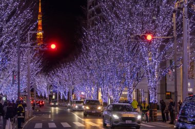 Tokyo, Japonya - 26 Aralık 2025: Roppongi Hills Noel ışıkları, Tokyo 'daki en iyi kış aydınlatmaları. Roppongi Hills alışveriş merkezinin yanındaki Keyakizaka Caddesi Tokyo Kulesi ile aydınlanıyor