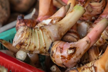 Galangal, Malezya, Kuching 'de pazarda satıldı. Güneydoğu Asya mutfağında yaygın olarak kullanılan zencefil familyasının (Zingiberaceae) keskin ve aromatik bir türüdür.