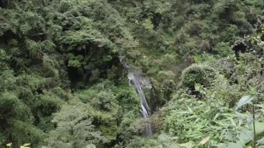 Longshuixia İlmeklenmiş Manzaralı Leke, Wulong, Çin 'de. Nefes kesici manzaralar. Özellikleri arasında derin, sarp geçitler, el değmemiş bitki örtüsü ve çağlayan su bulunur.