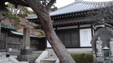 Kamakura, Japonya-17 Aralık 2025: Kırmızı fener Japonya 'nın Kamakura kentindeki Hasedera Tapınağı' nın giriş kapısında asılı. Kırmızı fener statüsünü gösteriyor ve tarihi bir kompleksin girişini gösteriyor.