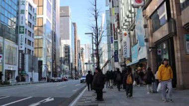 Tokyo, Japonya-28 Aralık 2025: Tokyo, Japonya 'daki Ginza bölgesinin görüntüsü. Ginza, Tokyo 'nun en ünlü alışveriş, yemek ve eğlence merkezidir ve çok sayıda mağazası ve butiği bulunmaktadır.