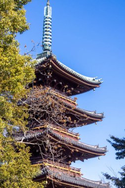 Tokyo, Japonya - 17 Aralık 2025 Ueno Beş katlı Pagoda veya Tokyo Ueno Park 'ın içindeki Kyu-Kaneiji. Tarihi bir bina ve karmaşık Japon mimarisi nedeniyle hayran olunan bir turistik yerdir.