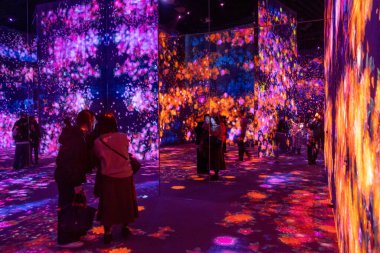 Tokyo, Japonya 22 Aralık 2025 Tokyo, Japonya 'daki Sınır Tanımaz Dijital Sanat Müzesi. Sınır Tanımayan Takım Laboratuvarı sınırları olmayan bir sanat eserleri dünyası. Sanat topluluğu tarafından oluşturulmuş haritası olmayan bir müze.