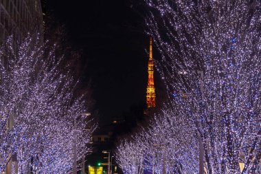 Tokyo, Japonya - 26 Aralık 2025: Roppongi Hills Noel ışıkları, Tokyo 'daki en iyi kış aydınlatmaları. Roppongi Hills alışveriş merkezinin yanındaki Keyakizaka Caddesi Tokyo Kulesi ile aydınlanıyor