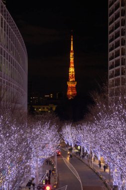 Tokyo, Japonya - 26 Aralık 2025: Roppongi Hills Noel ışıkları, Tokyo 'daki en iyi kış aydınlatmaları. Roppongi Hills alışveriş merkezinin yanındaki Keyakizaka Caddesi Tokyo Kulesi ile aydınlanıyor