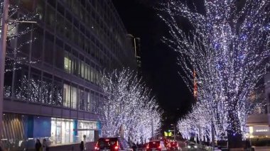 Tokyo, Japonya - 26 Aralık 2025: Roppongi Hills Noel ışıkları, Tokyo 'daki en iyi kış aydınlatmaları. Roppongi Hills alışveriş merkezinin yanındaki Keyakizaka Caddesi Tokyo Kulesi ile aydınlanıyor