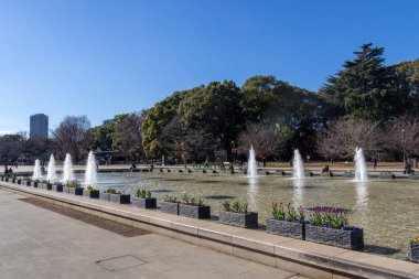 Tokyo, Japonya - 17 Aralık 2025: Takenodai Çeşmesi, ya da Ueno Park, Tokyo 'nun merkezinde yer alan Büyük Çeşme. Burası ziyaretçilerin dinlenmeleri ve güzel su gösterilerinin tadını çıkarmaları için popüler bir yerdir.