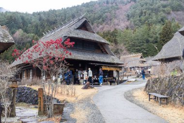 Kawaguchiko, Japonya - 20 Aralık 2025: Saiko Iyashi-no-Sato Nenba Kawaguchiko, Japonya 'da yer almaktadır. Geleneksel bir Japon köyü ve 20 sazdan çatılı evi olan açık hava müzesi..