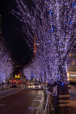 Tokyo, Japonya - 26 Aralık 2025: Roppongi Hills Noel ışıkları, Tokyo 'daki en iyi kış aydınlatmaları. Roppongi Hills alışveriş merkezinin yanındaki Keyakizaka Caddesi Tokyo Kulesi ile aydınlanıyor