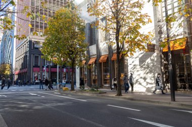 Tokyo, Japonya-28 Aralık 2025: Tokyo, Japonya 'daki Ginza bölgesinin görüntüsü. Ginza, Tokyo 'nun en ünlü alışveriş, yemek ve eğlence merkezidir ve çok sayıda mağazası ve butiği bulunmaktadır.