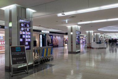 Tokyo, Japonya - 29 Aralık 2025: Tokyo, Japonya 'daki Narita Uluslararası Havaalanı manzarası. Narita Havaalanı, uluslararası yolcu numaraları açısından Japonya 'nın en yoğun havaalanı olarak kabul edilir.