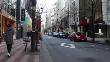 Tokyo, Japonya-28 Aralık 2025: Tokyo, Japonya 'daki Ginza bölgesinin görüntüsü. Ginza, Tokyo 'nun en ünlü alışveriş, yemek ve eğlence merkezidir ve çok sayıda mağazası ve butiği bulunmaktadır.